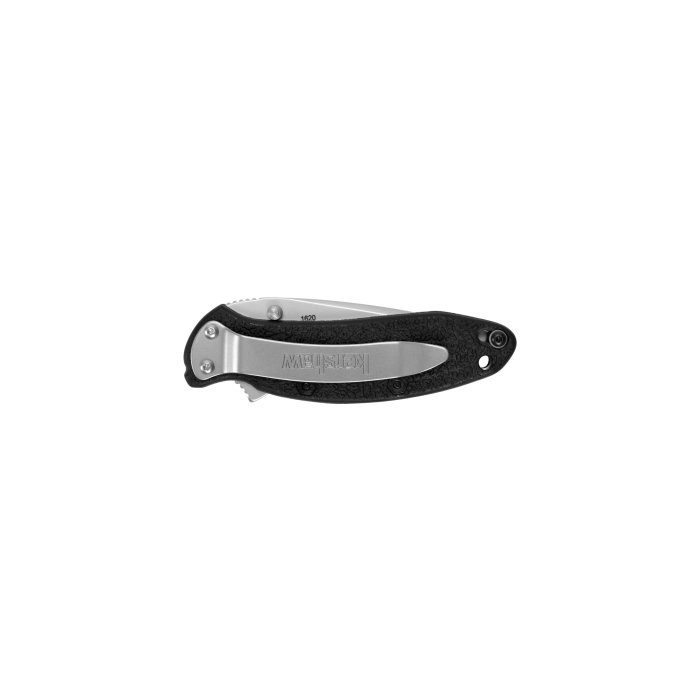 Kershaw Scallion Assisted-Opening Pocket Knife – 2.25" Blade, Made in USA