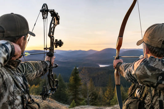 Compound vs Recurve Bow: Which Fits Your Hunt?