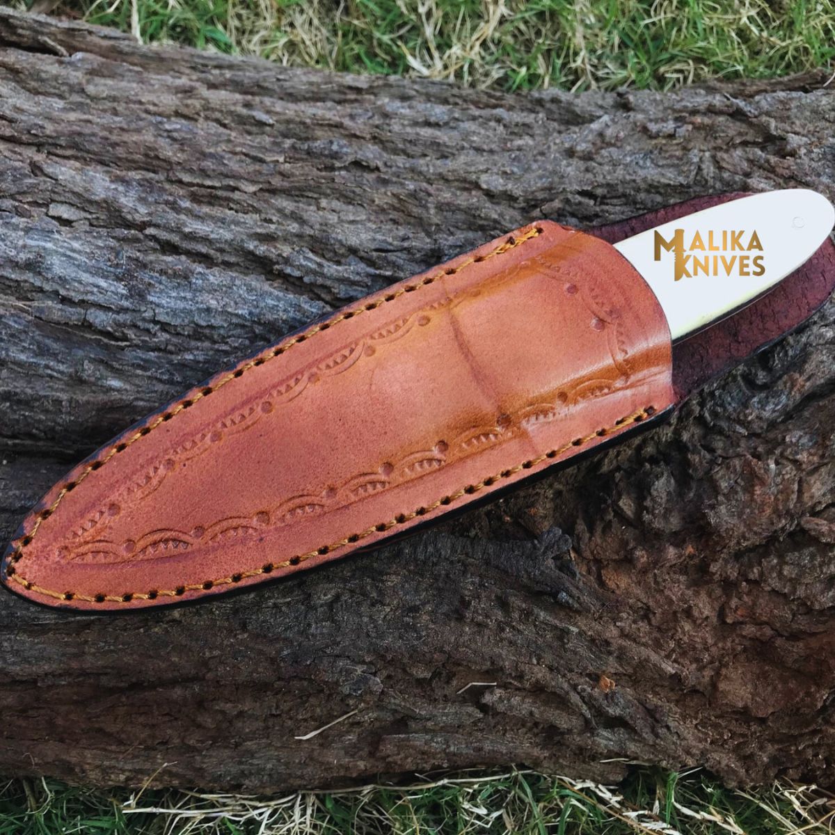 Needle Point Hunting Knife | D2 Steel | Camel Bone Handle