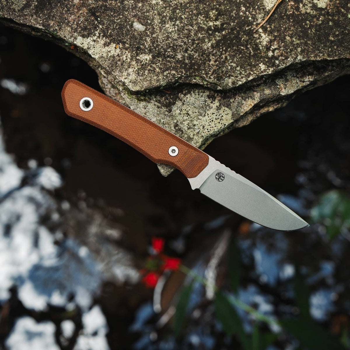 Cloudland fixed-blade knife with Dymalux Walnut handle resting on a rock above a stream