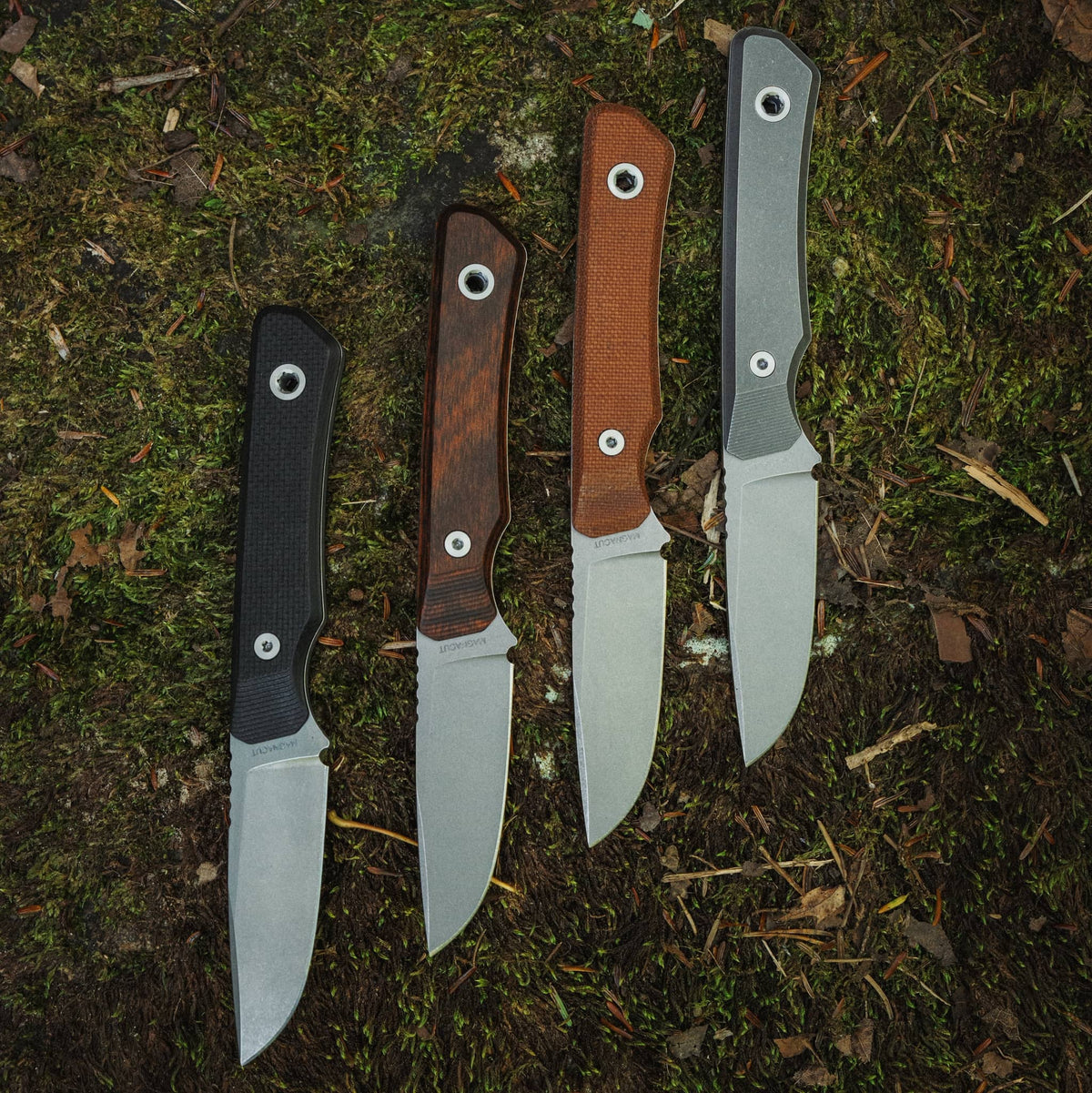Four Cloudland fixed-blade knives with Black G10, Dymalux Walnut, Natural Micarta, and titanium handles on moss
