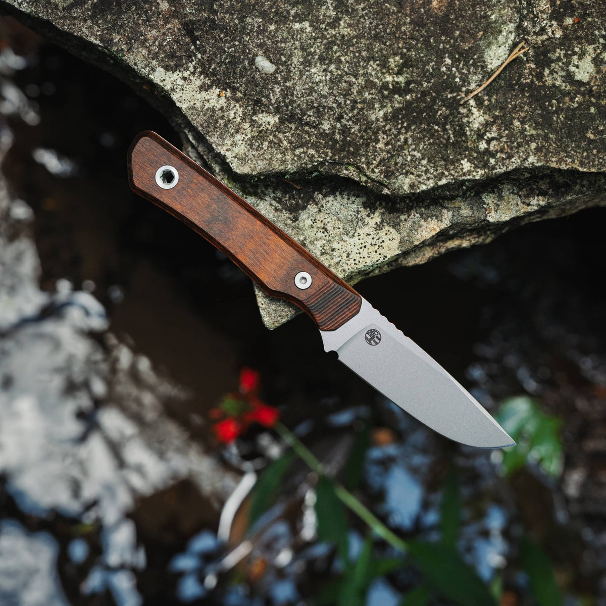 Cloudland fixed-blade knife with Dymalux Walnut handle resting on a rock above a stream