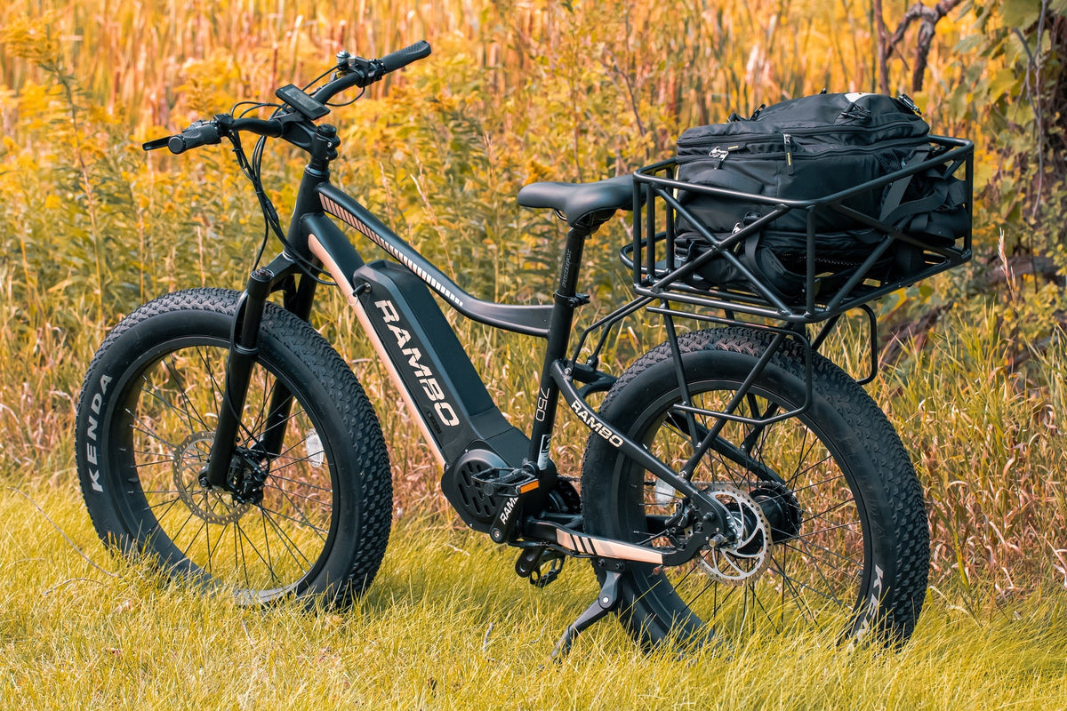 Rambo Bikes large basket mounting detail