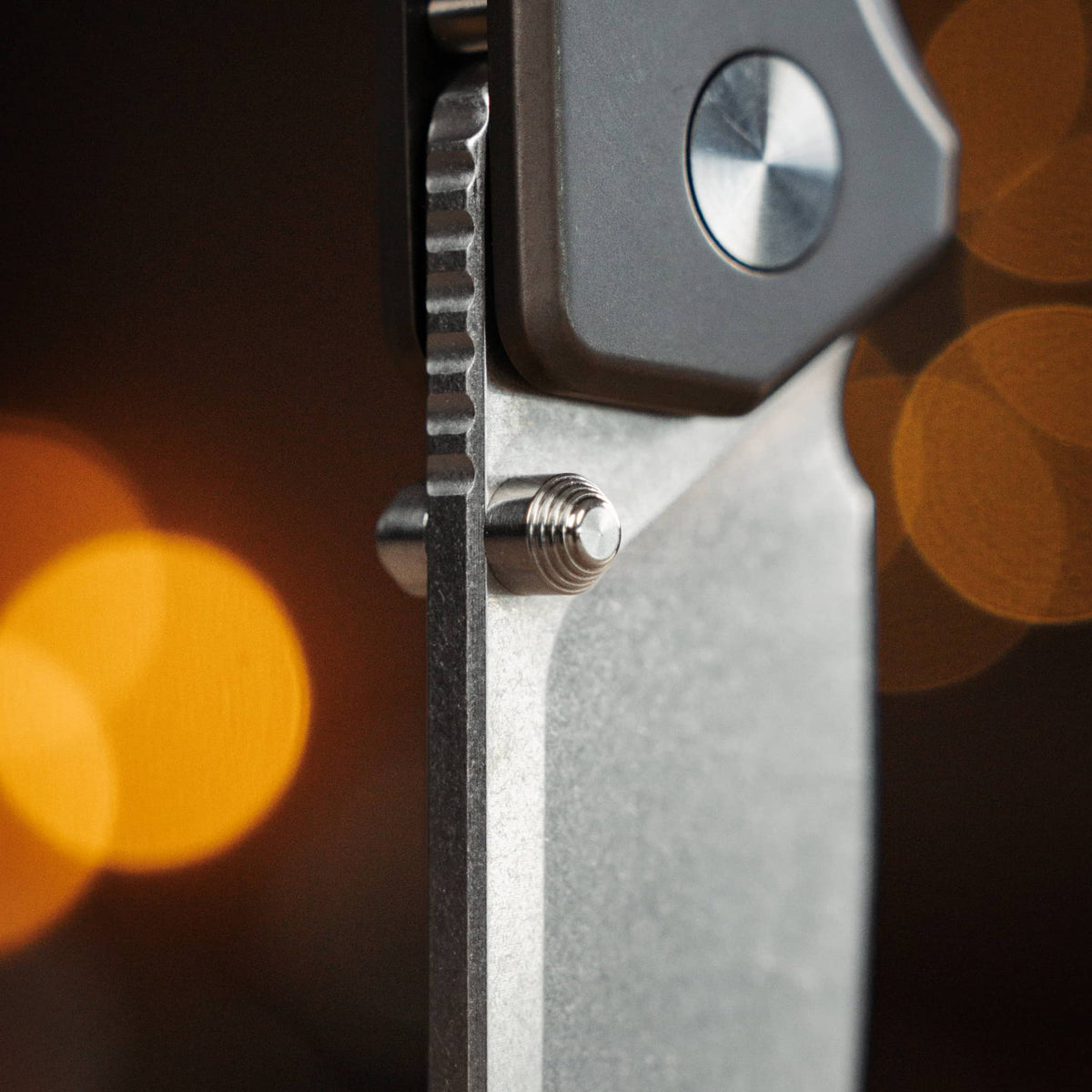 Close-up of the Ti Manu blade, thumb stud, spine jimping, and pivot