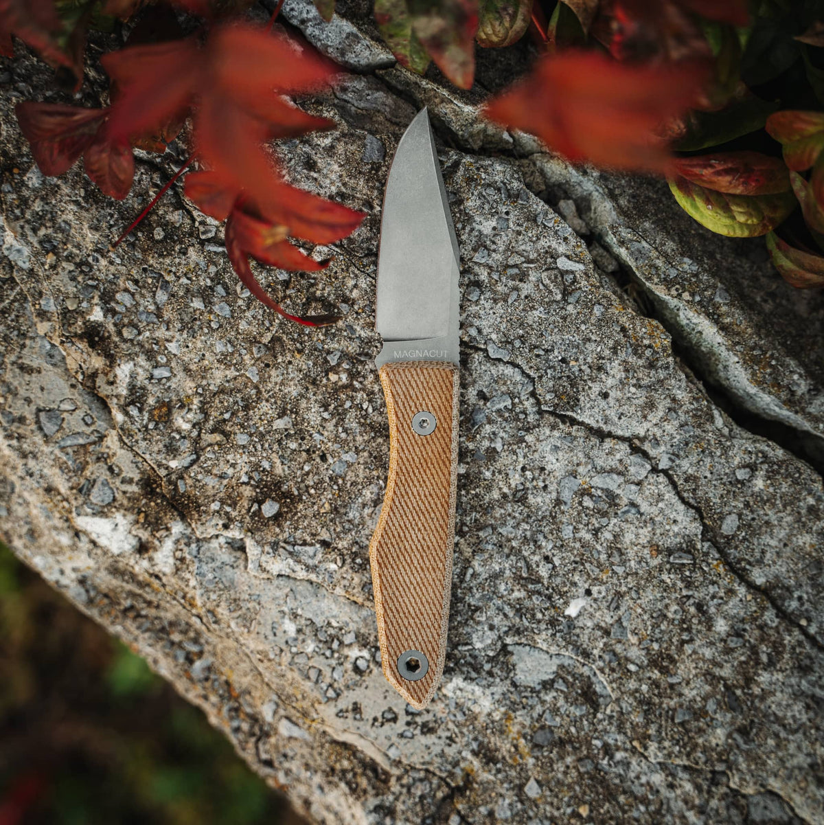 Lookout MagnaCut knife with tan textured handle resting on rock beneath red leaves

