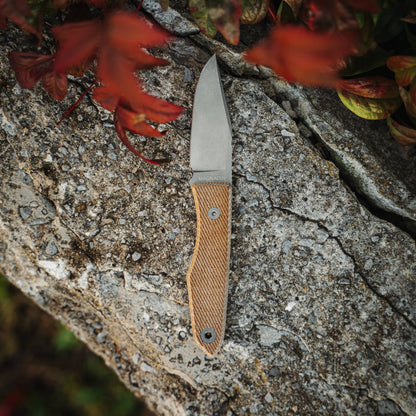 Lookout MagnaCut knife with tan textured handle resting on rock beneath red leaves
